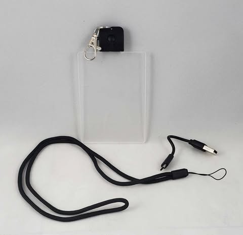 Haunted Mansion LED Lanyard