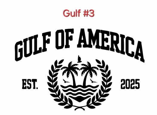 Gulf of America 20oz Stainless Steel Tumbler